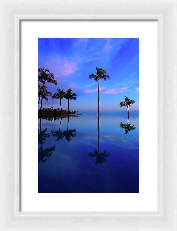 Morning Palms - Framed Print