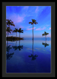 Morning Palms - Framed Print