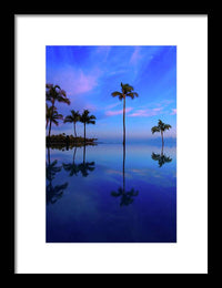 Morning Palms - Framed Print