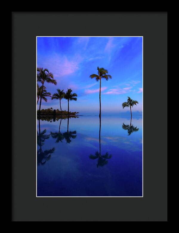 Morning Palms - Framed Print