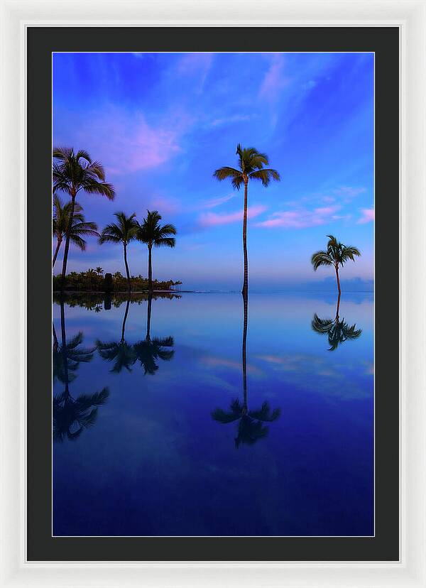 Morning Palms - Framed Print