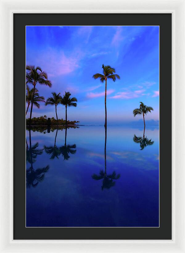 Morning Palms - Framed Print