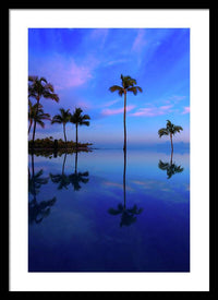 Morning Palms - Framed Print