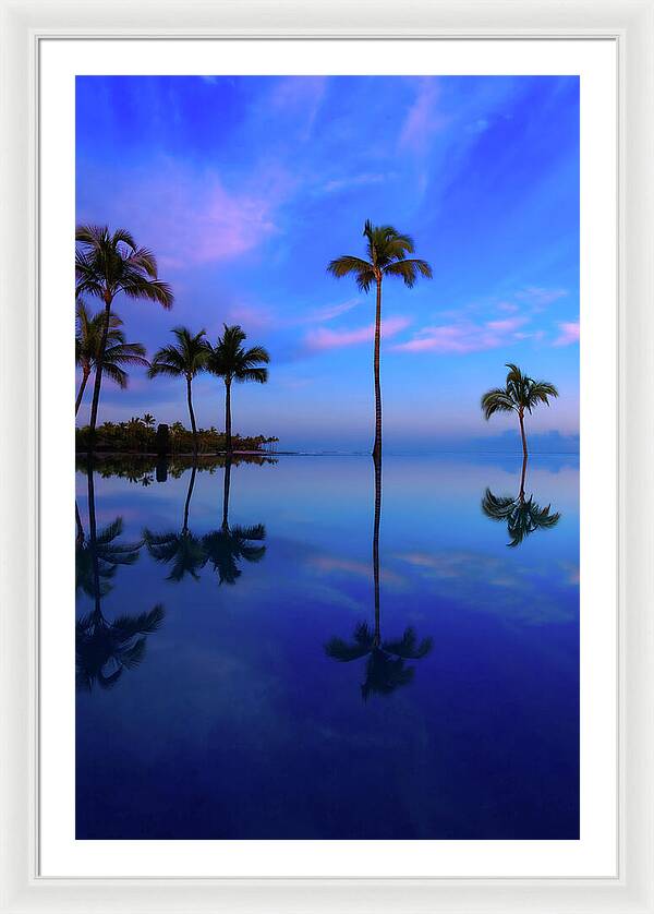 Morning Palms - Framed Print