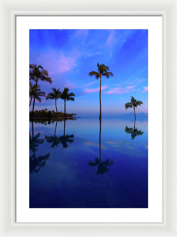 Morning Palms - Framed Print