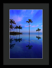 Morning Palms - Framed Print