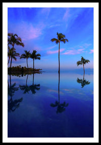 Morning Palms - Framed Print