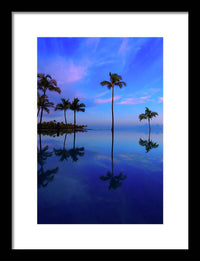 Morning Palms - Framed Print