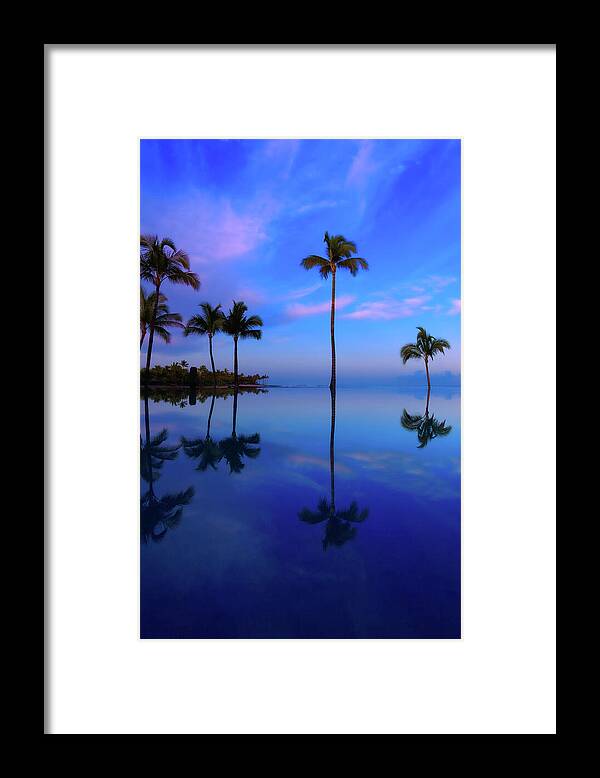 Morning Palms - Framed Print