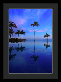 Morning Palms - Framed Print