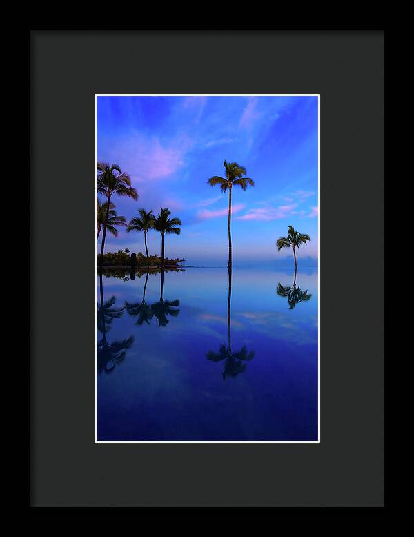 Morning Palms - Framed Print