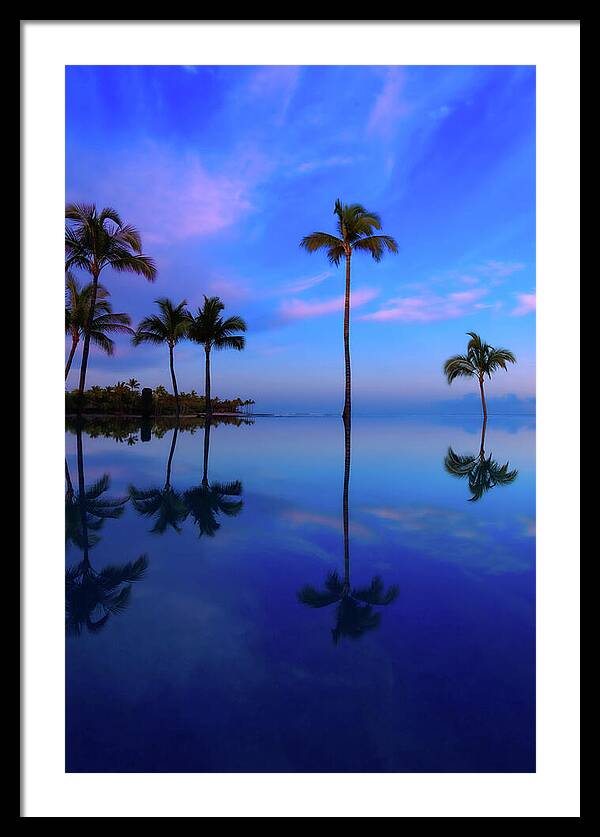 Morning Palms - Framed Print