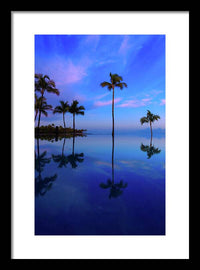 Morning Palms - Framed Print