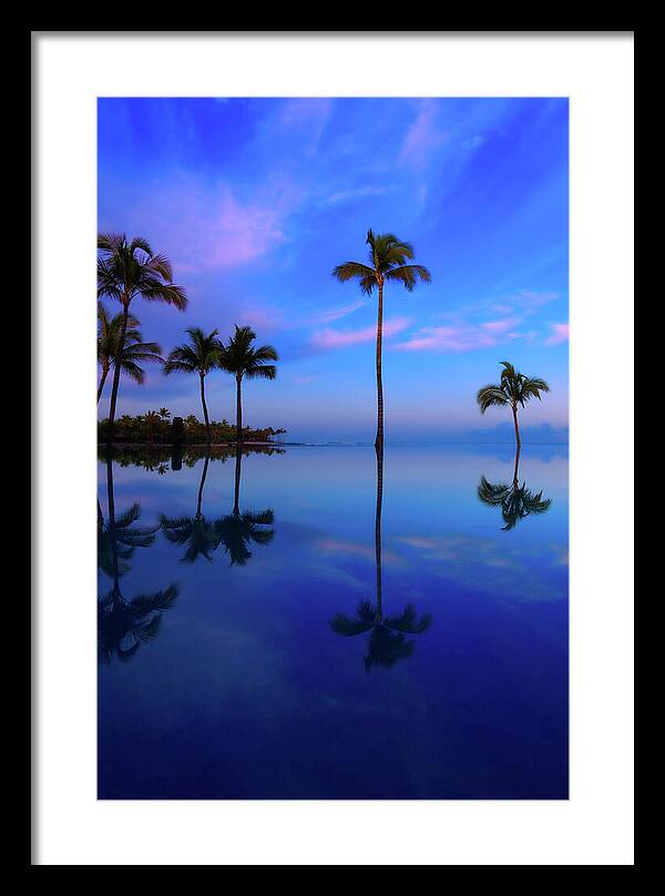 Morning Palms - Framed Print