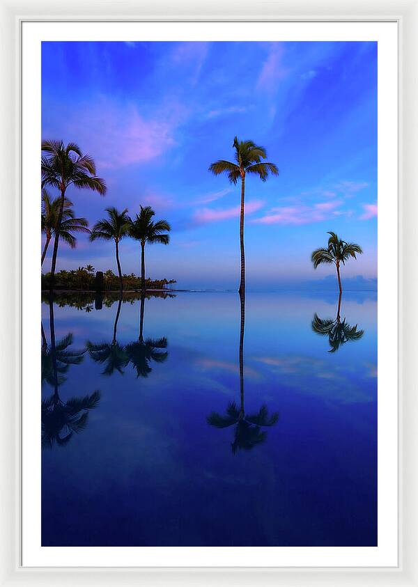 Morning Palms - Framed Print