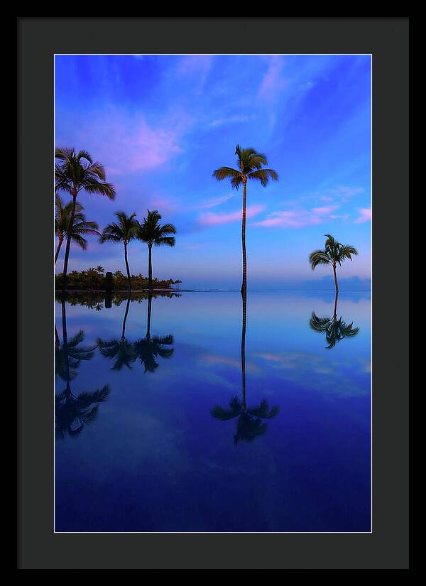 Morning Palms - Framed Print