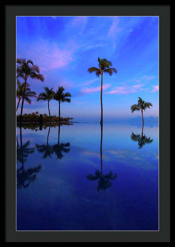 Morning Palms - Framed Print