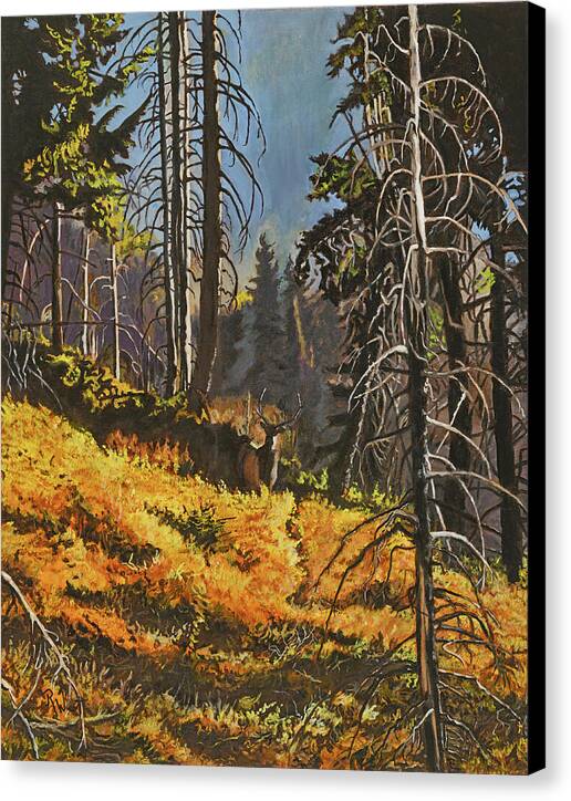 Mystery at Burnt Creek - Canvas Print