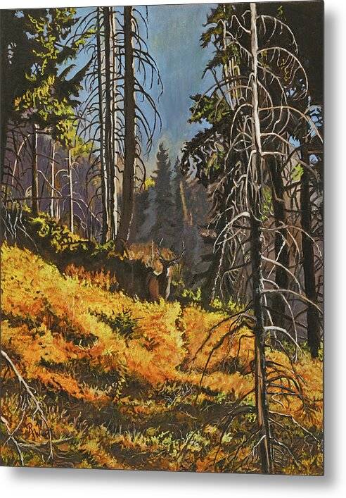 Mystery at Burnt Creek - Metal Print