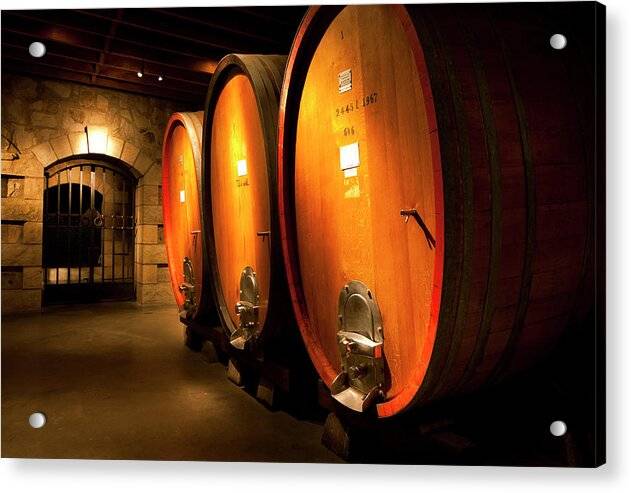 Oak wine casks in wine cellar - Acrylic Print Acrylic Print 1ArtCollection