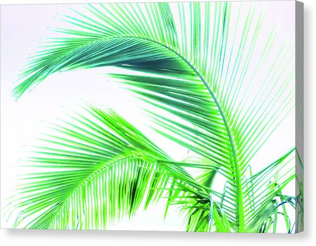 Palm and Ocean - Canvas Print