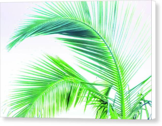 Palm and Ocean - Canvas Print