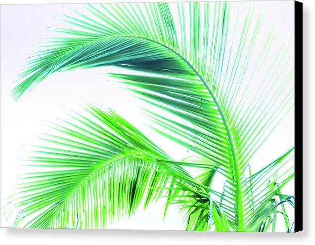 Palm and Ocean - Canvas Print