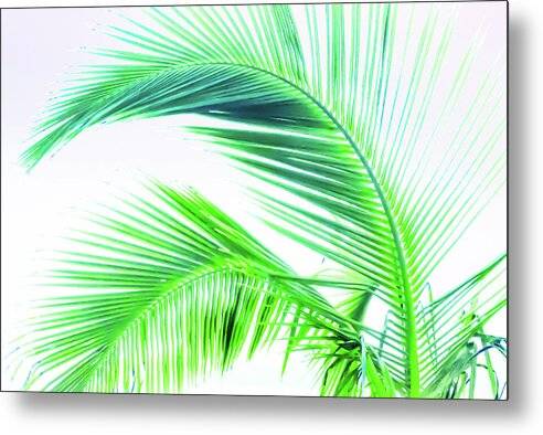 Palm and Ocean - Metal Print