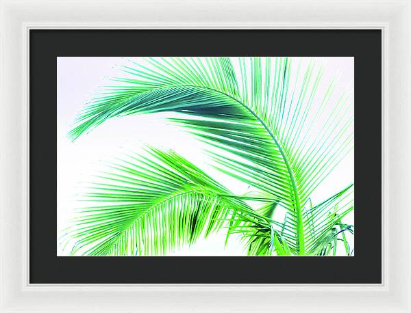 Palm and Ocean - Framed Print