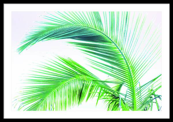 Palm and Ocean - Framed Print