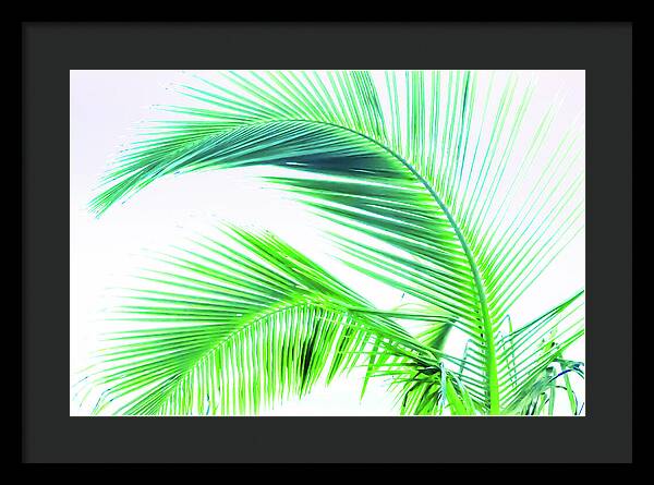 Palm and Ocean - Framed Print