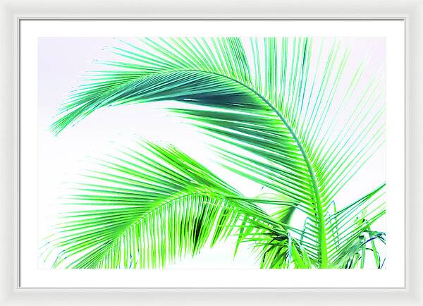 Palm and Ocean - Framed Print