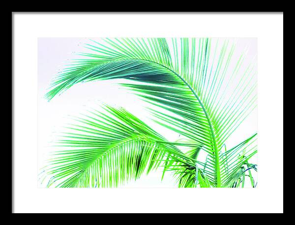 Palm and Ocean - Framed Print