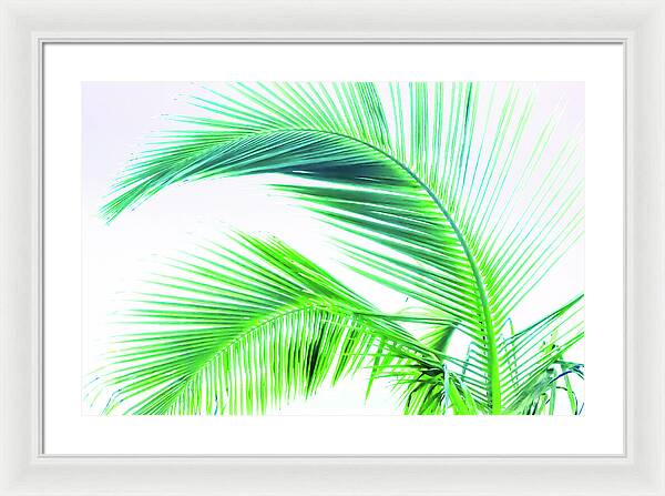 Palm and Ocean - Framed Print