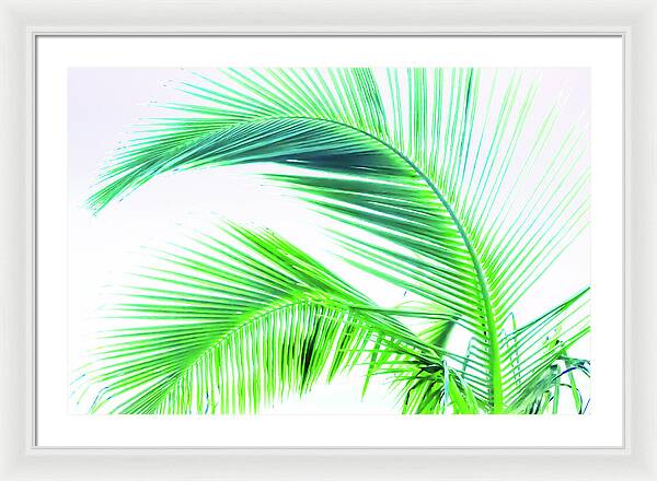 Palm and Ocean - Framed Print