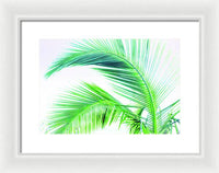 Palm and Ocean - Framed Print