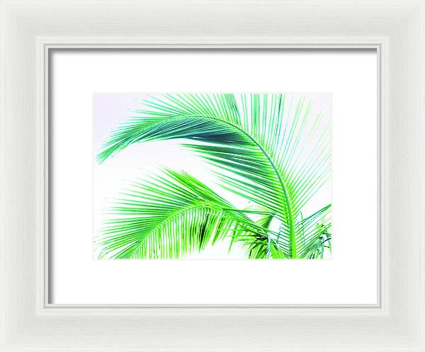 Palm and Ocean - Framed Print