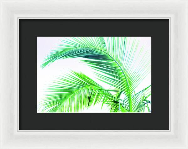 Palm and Ocean - Framed Print