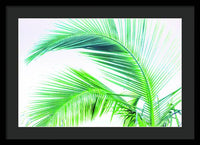 Palm and Ocean - Framed Print