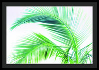 Palm and Ocean - Framed Print