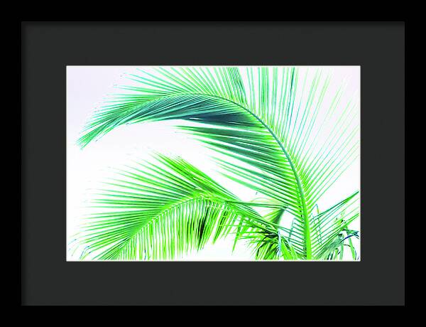 Palm and Ocean - Framed Print