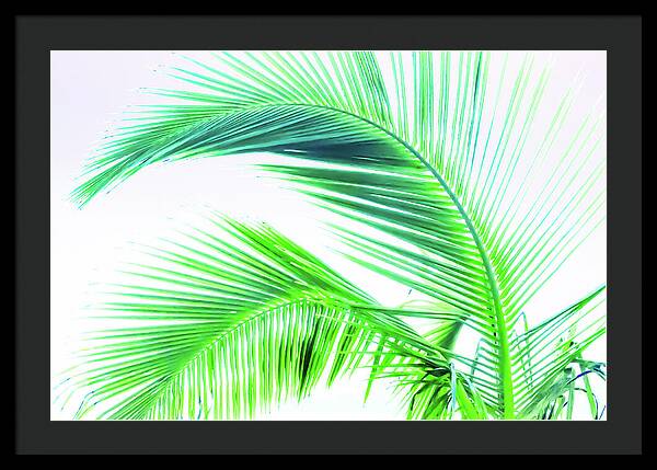 Palm and Ocean - Framed Print