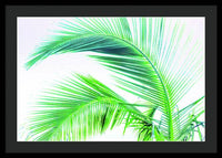 Palm and Ocean - Framed Print