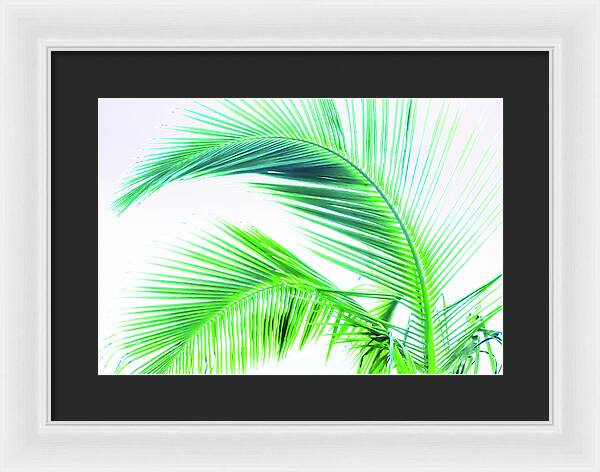 Palm and Ocean - Framed Print