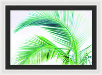 Palm and Ocean - Framed Print