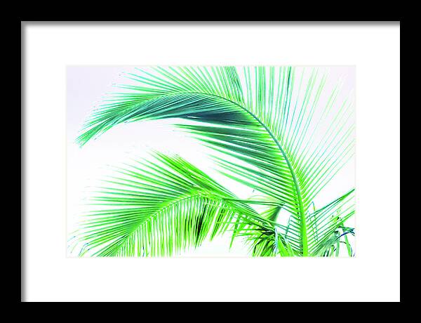 Palm and Ocean - Framed Print