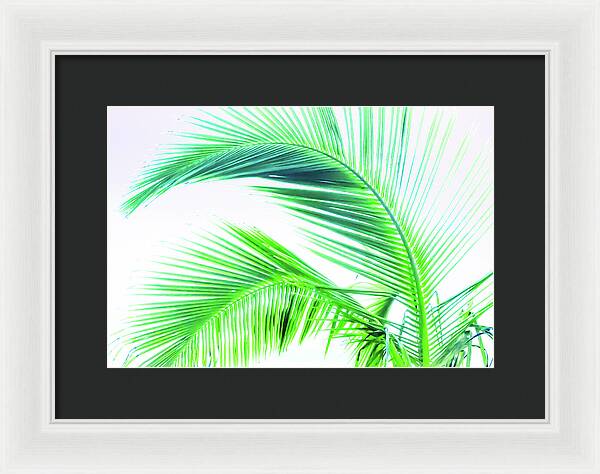 Palm and Ocean - Framed Print