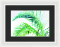 Palm and Ocean - Framed Print