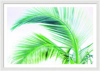 Palm and Ocean - Framed Print