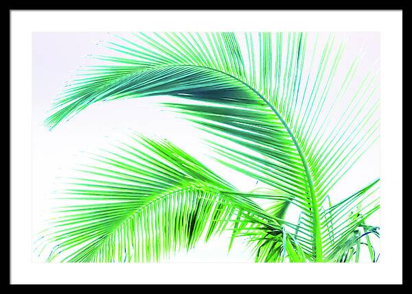 Palm and Ocean - Framed Print